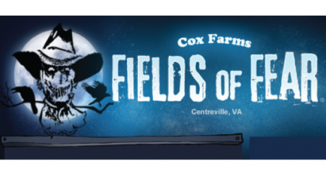 fields-of-fear-540