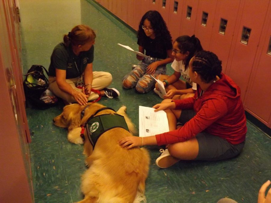 Tucker, the therapy dog, gets students from Mrs. Isoldis history class read to him on Oct. 3, during his visit in Rachel Carson Middle School.