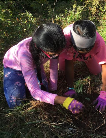 Anika Manda and Nethra Purushothaman plant a pine tree sapling 