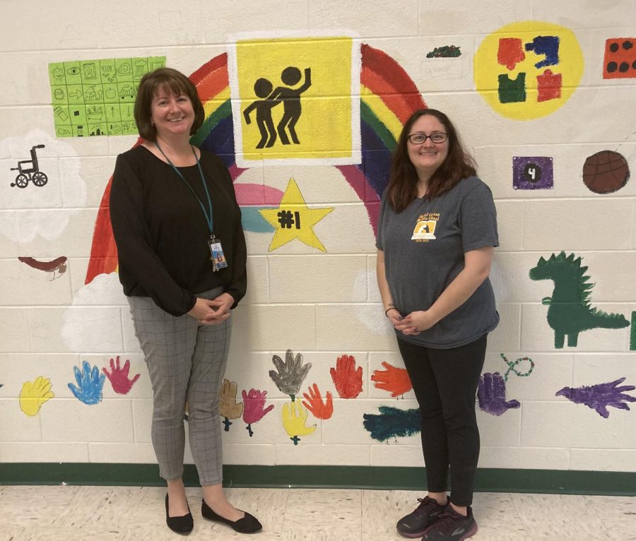 Mrs. Michelle Swarts and Mrs. Jenna Miller are Special Education teachers at Carson, with years of experience between them.