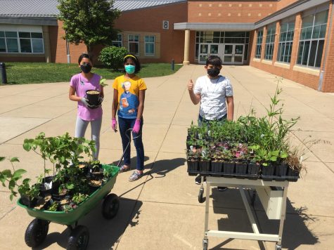 Left to right, Ariya, Nathra and Ishaan, seventh-graders, are taking the plants  to the court yard.