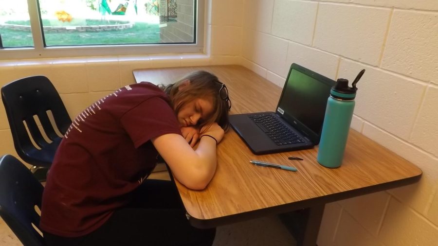                                                 A student, Lisa Brittonn, seventh-grader falls asleep during school
