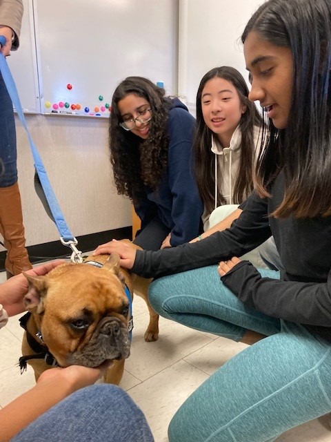 Students pet therapy dog Max on March 20 during his visit to RCMS for Wellness Week.