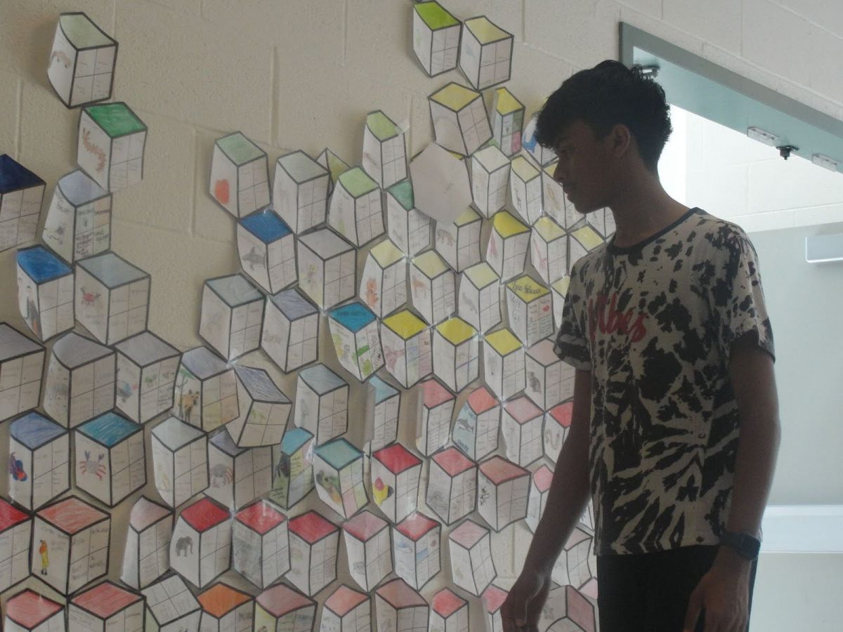 Eighth-grader, Ayaan Dhala, of the Dolphins team, at the Cube wall next to A Pod stairwell April 29. “I like how they were able to display each animals strengths and weaknesses.” Ayaan said, “It was cool to see how MMM wanted people to represent their videos.”