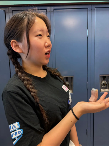 Anne Park talking about her opinion on the disappearance case. 