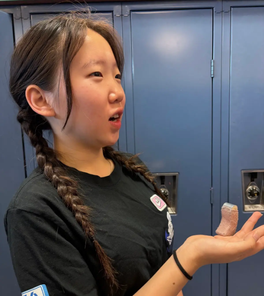 Anne Park talking about her opinion on the disappearance case. 